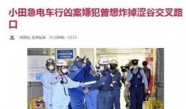 东京电车刺杀爆料视频,揭秘背后爆料视频的惊人真相