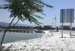 盐湖区最新爆料,揭秘神秘事件背后的真相