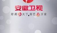 安徽频道在线直播观看,实时捕捉家乡精彩瞬间